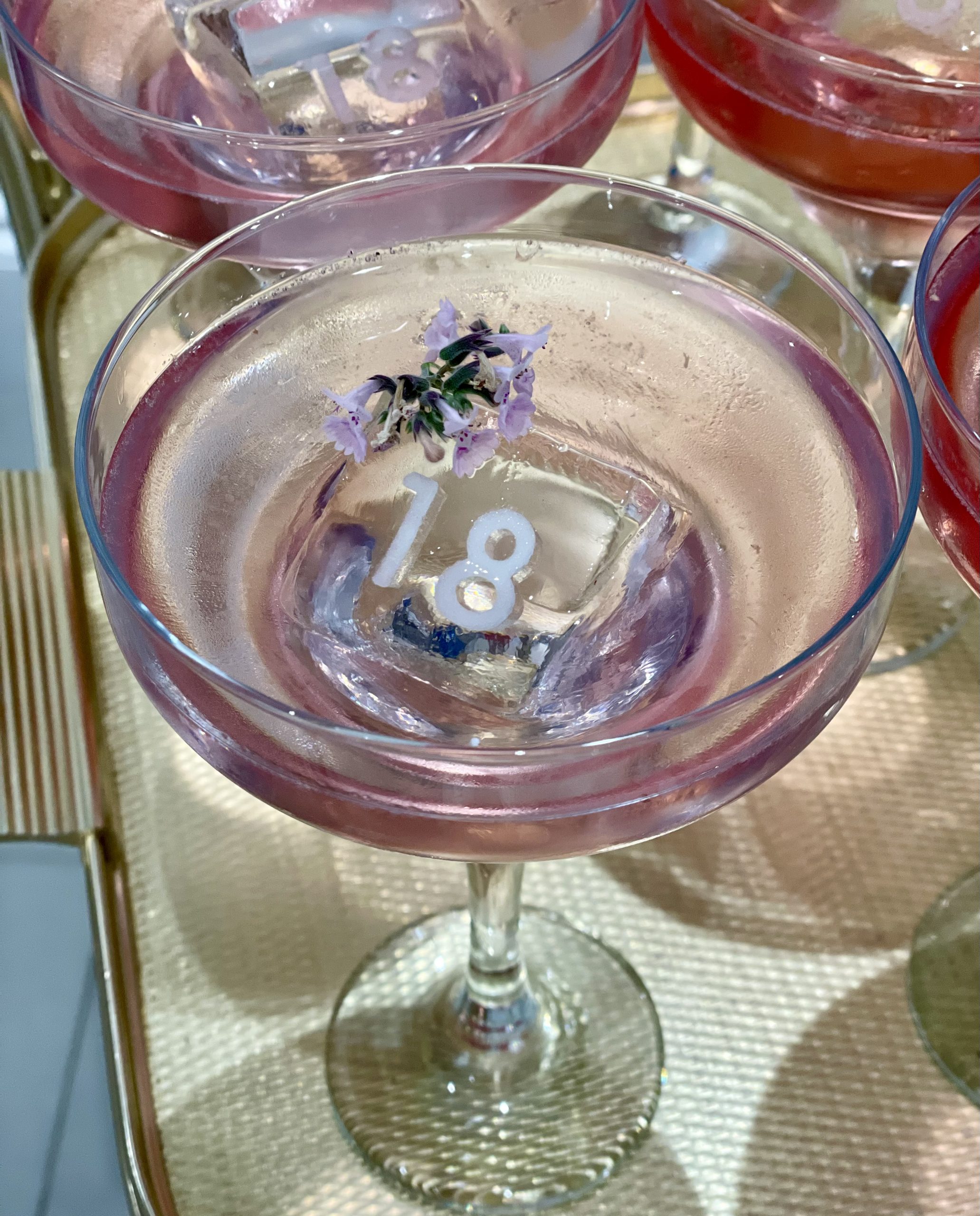 18th Birthday Cocktail Party!